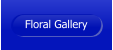 Floral Gallery